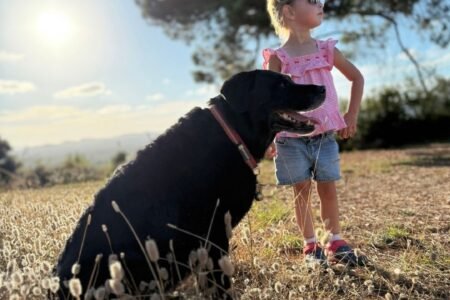 Pack Influence : Montrez votre destination côté chien et séduisez les 18 millions de français qui ont chien